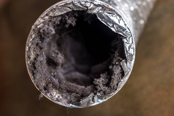 Best Emergency Air Duct Cleaning  in Erwinville, LA