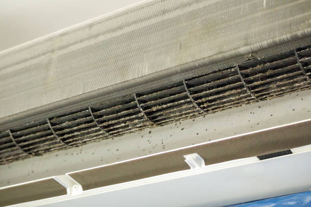 Best Local Air Duct Cleaning Services  in Erwinville, LA